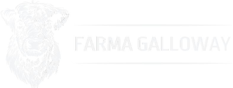 Farma Galloway | Dorota Duda - Świeża wołowina i cielęcina najwyższej jakości, z rodzinnego gospodarstwa